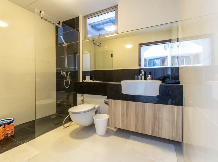 alexis penthouse selling singapore