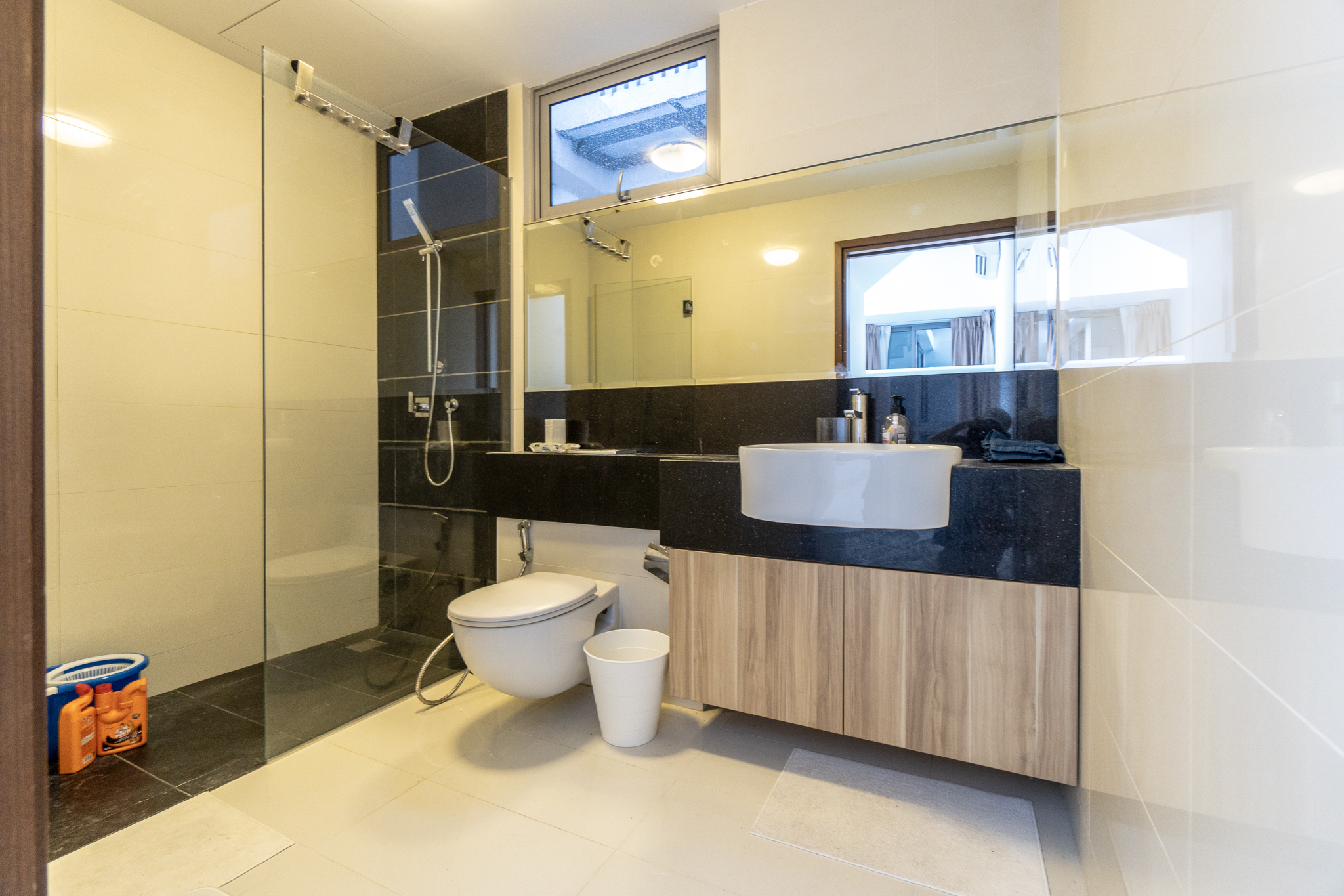 alexis penthouse selling singapore