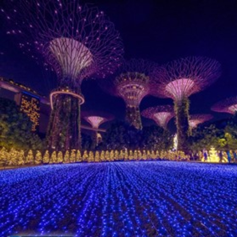 Downtown Core Property Agent