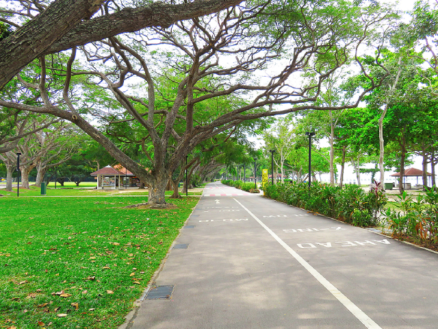 Marine Parade Property Agent